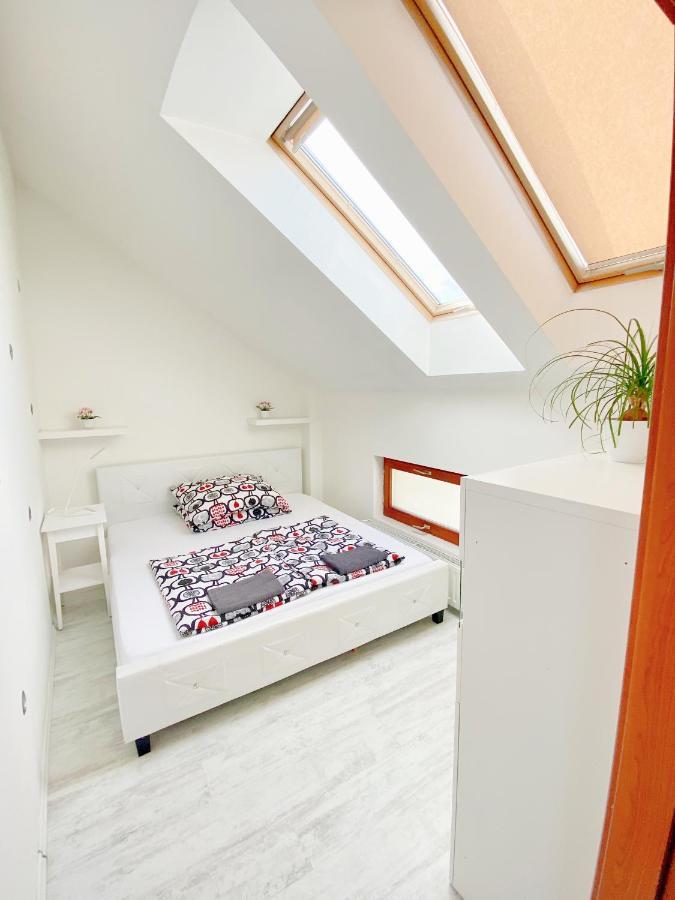 Loft With Rooftop And Free Parking In Garage بودابست المظهر الخارجي الصورة